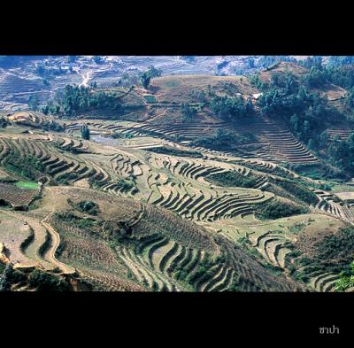 Sapa142 copy.jpg
