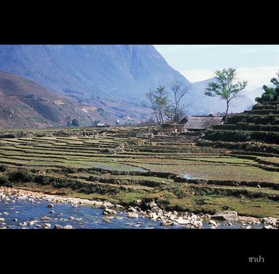 Sapa146 copy.jpg