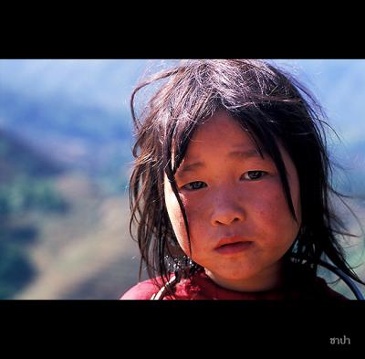 Sapa151 copy.jpg
