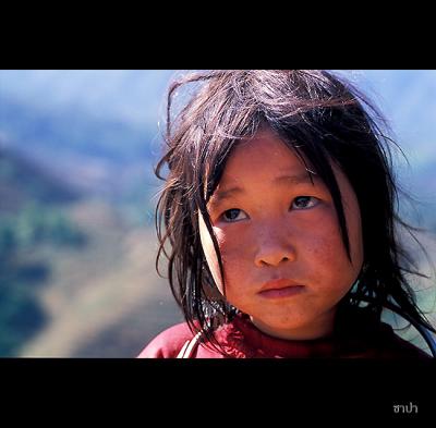 Sapa152 copy.jpg