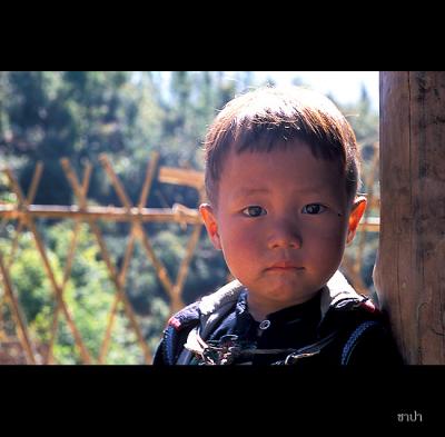 Sapa159 copy.jpg