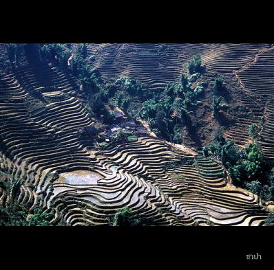 Sapa160 copy.jpg