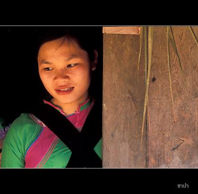 Sapa162 copy.jpg