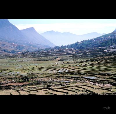 Sapa174 copy.jpg