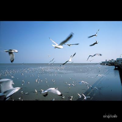 Image1295 copy.jpg
