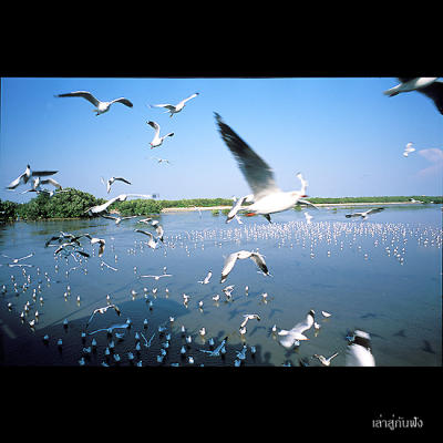 Image1297 copy.jpg