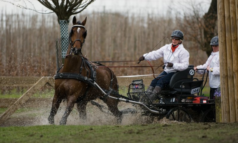 Edith van Rosmalen
