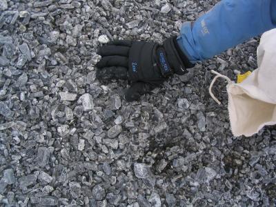 Erebus crystals eroded from lava all over the ground.JPG