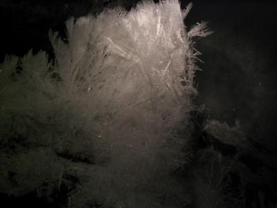 Fiberous 3 crystals growing up from rock deep in cave.JPG