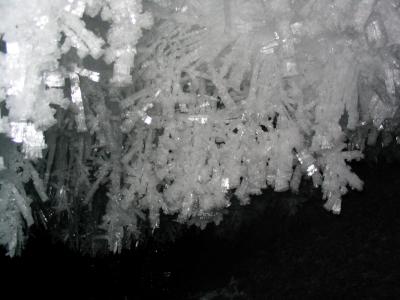 More-complex ceiling crystals deep in cave.JPG