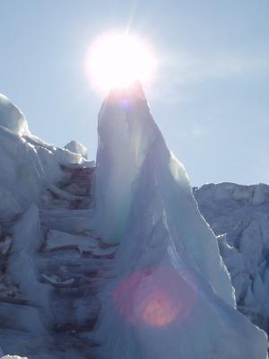 Fin at Taylor Glacier toe.JPG