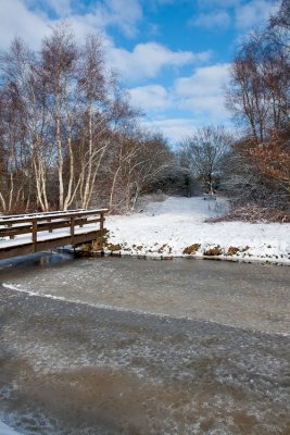 20100130_haren-10.jpg