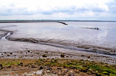 Waddenzee