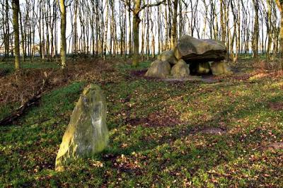 stone age grave (dolmen)