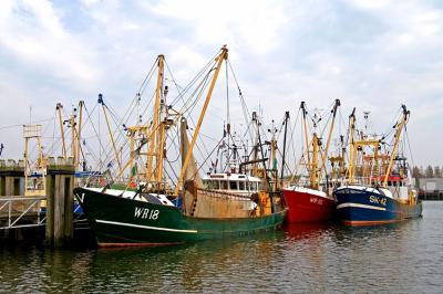 fishing boats