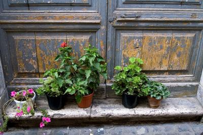 door with plants