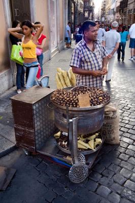 selling chestnuts