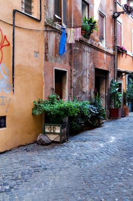 Trastevere, typical street