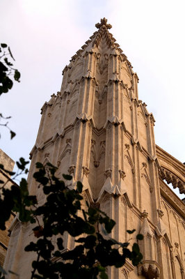 Palma's cathedral (La Seu)