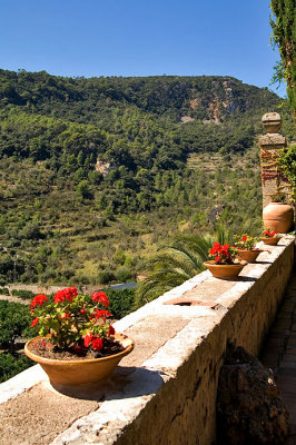 border of the terrace