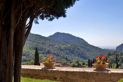 view