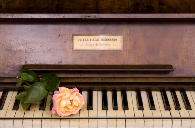 piano, detail