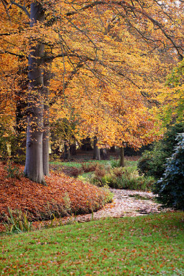 garden Guyot Institute, Haren