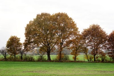 fields near Haren