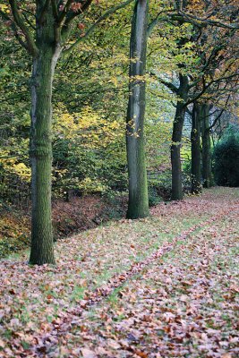 Kerklaan, Haren