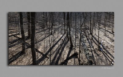 Rock Creek Panorama