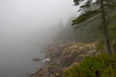 DLWS Otter Cliffs_002.jpg