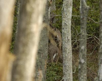 Solomons Island_010.jpg