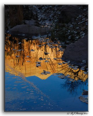 Sunrise Reflection in Zion