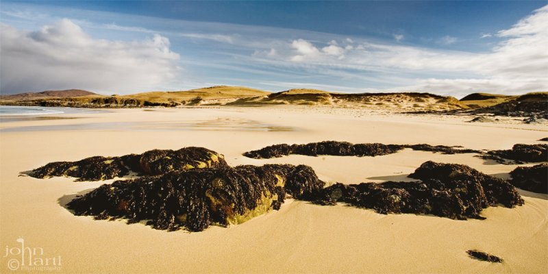 golden sand