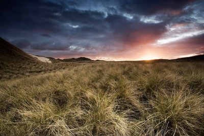 sunset and grass