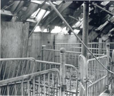 Barn2.jpg