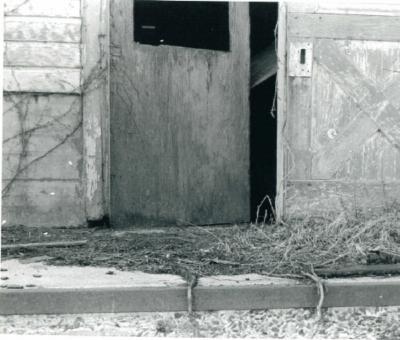 Barn3.jpg