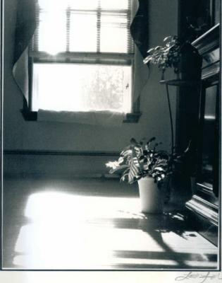 Photo5.jpg