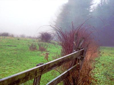 fence_.jpg