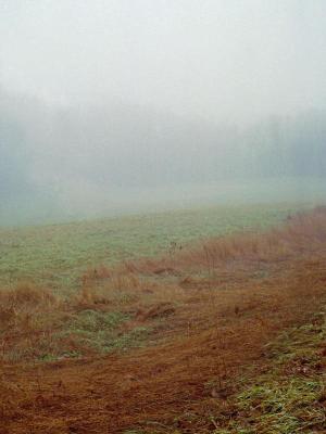field.jpg