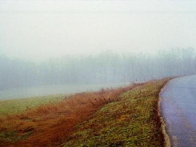field3.jpg