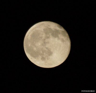 fullmoon08170801062.jpg