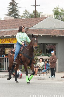 EquestriansGreenStockings_DSC2762.jpg