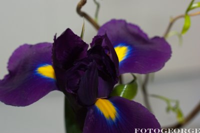 g3/71/631071/3/123718726.lhO0dUhl.jpg