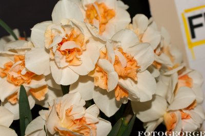 g3/71/631071/3/123718755.a6jQ92b8.jpg