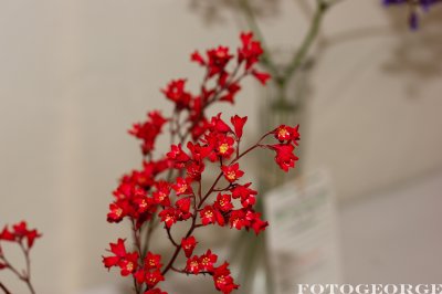 g3/71/631071/3/123718763.QsAZx3KE.jpg