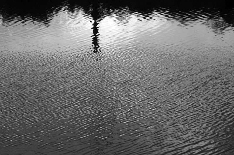 August 5: sunset on the pond