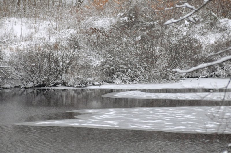 winter wonderland
