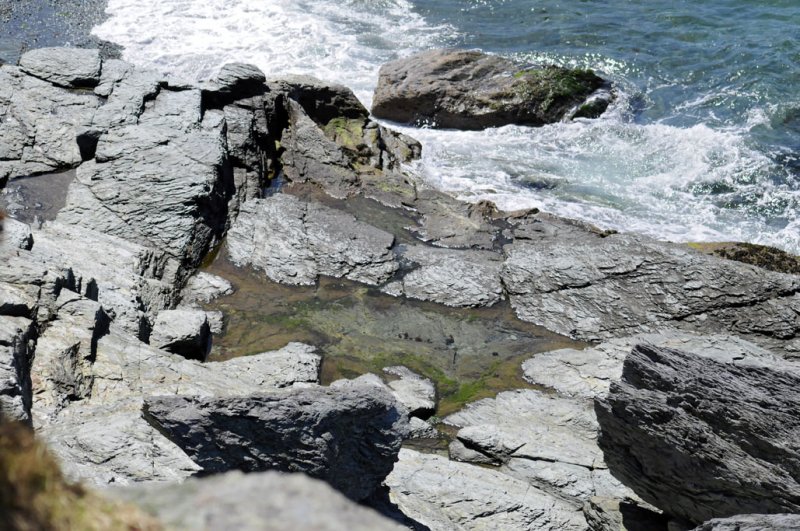 Castle Hill Cove