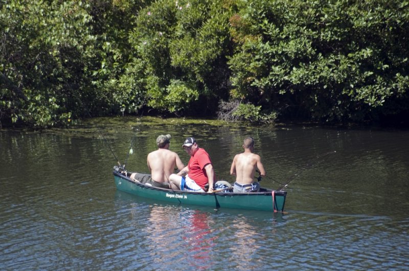 Three Men in a Boat